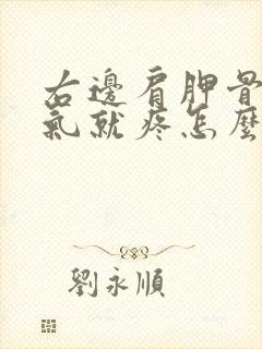 右边肩胛骨一吸气就疼怎么办