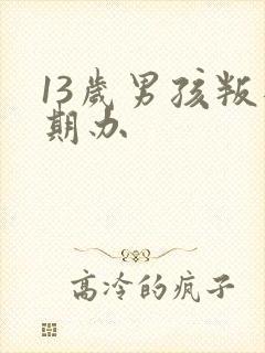 13岁男孩叛逆期办封面