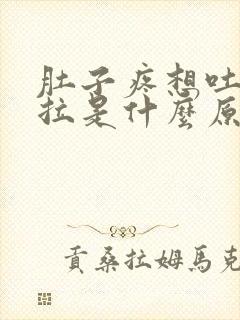 肚子疼想吐又想拉是什么原因