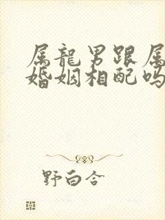 属龙男跟属兔女婚姻相配吗