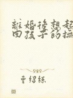 离婚后想起诉要回孩子的抚养权