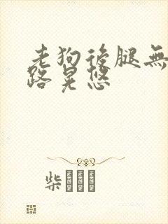 老狗后腿无力走路晃悠封面