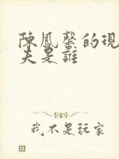 陈凤馨的现任丈夫是谁