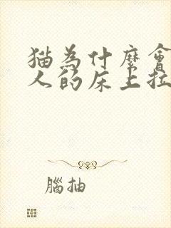 猫为什么会在主人的床上拉屎拉尿