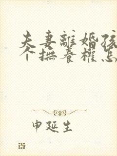 夫妻离婚孩子两个抚养权怎么判定