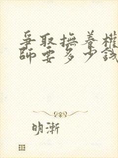 争取抚养权请律师要多少钱