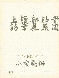 上腹部肋骨疼痛的常见原因有