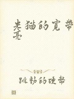 光猫的宽带灯不亮