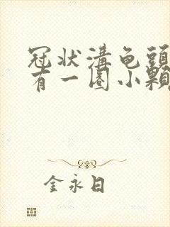 冠状沟龟头边缘有一圈小颗粒