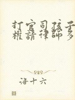 打官司孩子抚养权请律师多少钱