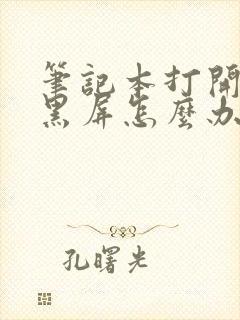 笔记本打开但是黑屏怎么办