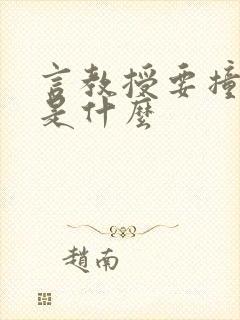 言教授要撞坏了是什么