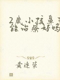 2岁小孩鼻窦炎能治疗好吗?封面