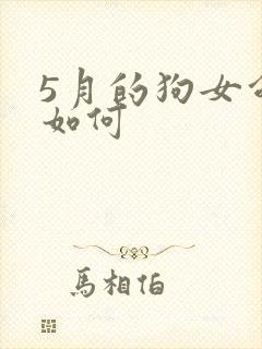 5月的狗女命运如何