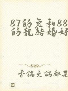 87的兔和88的龙结婚好不好封面
