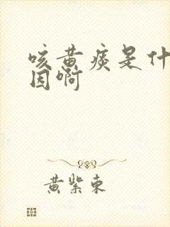 咳黄痰是什么原因啊封面