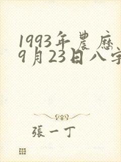 1993年农历9月23日八字封面