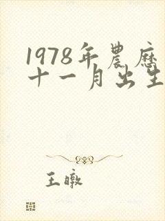 1978年农历十一月出生的命运