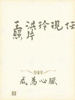 王洪玲现任丈夫照片