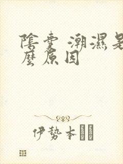 阴囊 潮湿是什么原因