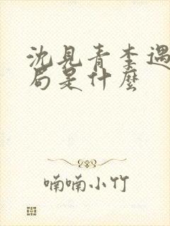 沈见青李遇泽结局是什么封面