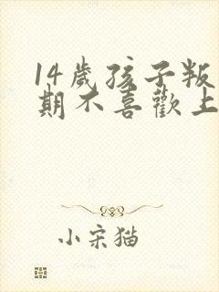 14岁孩子叛逆期不喜欢上学怎么办