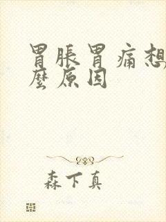 胃胀胃痛想吐什么原因