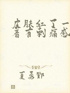 皮肤红了一片摸着有刺痛感