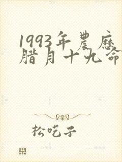 1993年农历腊月十九命运封面