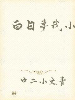 白日梦我小说