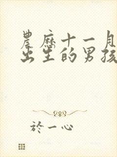 农历十一月十八出生的男孩子命运好吗?