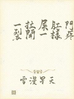 一拉屎肛门就像裂开一样疼还出血