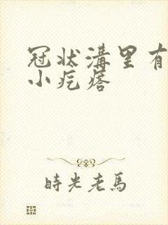 冠状沟里有白色小疙瘩封面