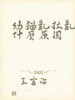 幼猫乱拉乱尿是什么原因