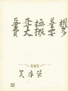 争夺抚养权律师费大概要多少钱