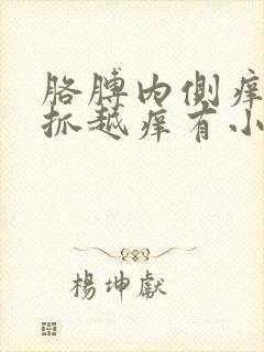 胳膊内侧痒痒越抓越痒有小红疙瘩