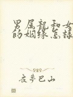 男属龙和女属兔的姻缘怎样