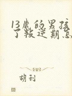 13岁的男孩到了叛逆期怎么