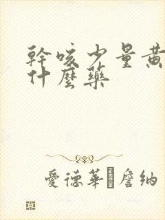 干咳少量黄痰吃什么药