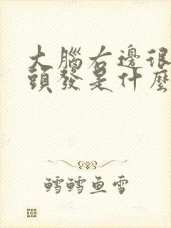 大脑右边很多白头发是什么原因引起的