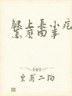 腿上长小疙瘩是怎么回事