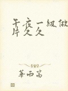 午夜一级做a爰片久久