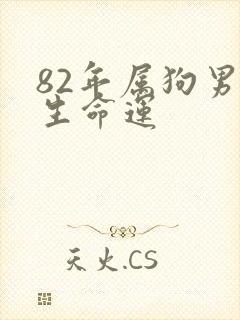 82年属狗男一生命运