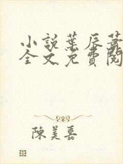 小说叶辰萧初然全文免费阅读