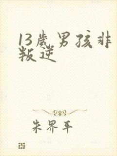 13岁男孩非常叛逆