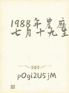 1988年农历七月十九生人命运好吗