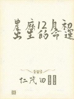 农历12月初八出生的命运