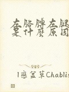 左胳膊左腿麻木是什么原因