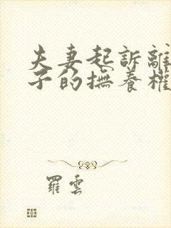 夫妻起诉离婚孩子的抚养权怎么争取封面