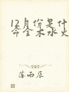 12月份是什么命金木水火土